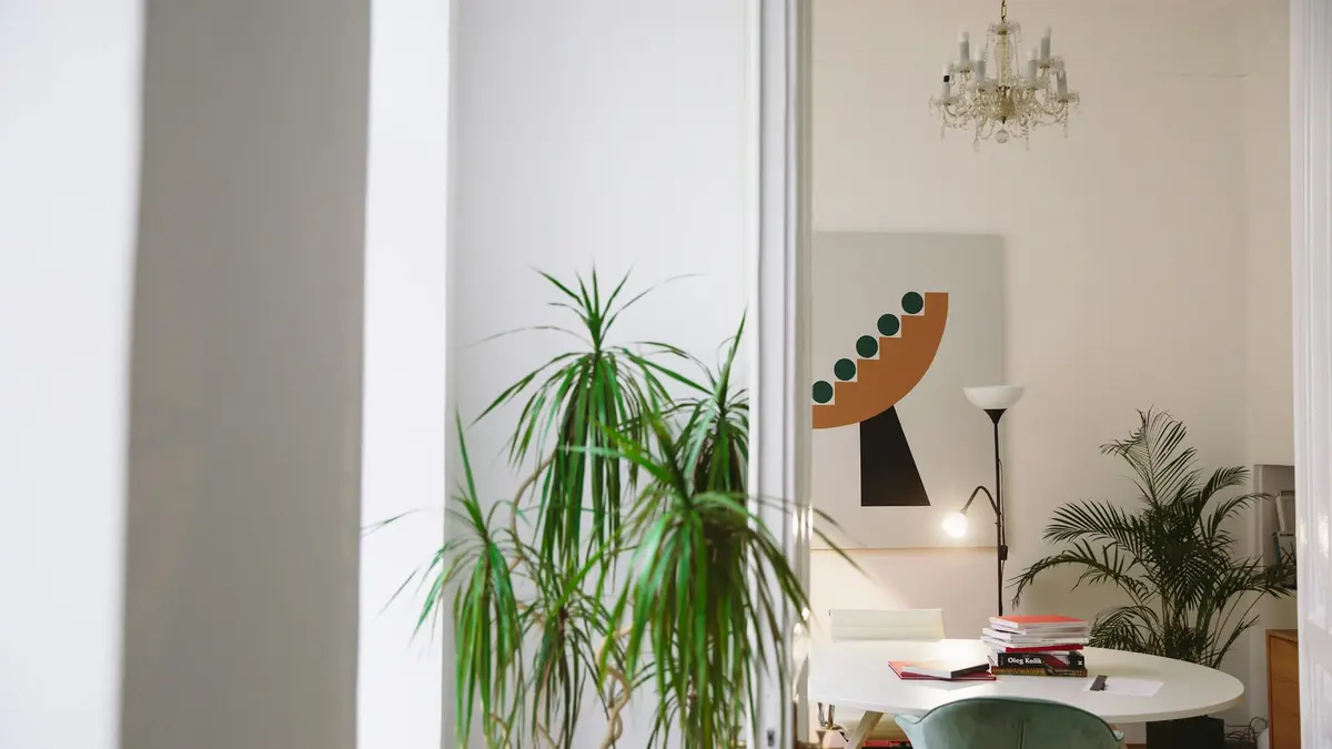 Stylish apartment interior featuring modern art and lush houseplants.